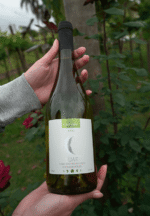 Luar Chardonnay 2023