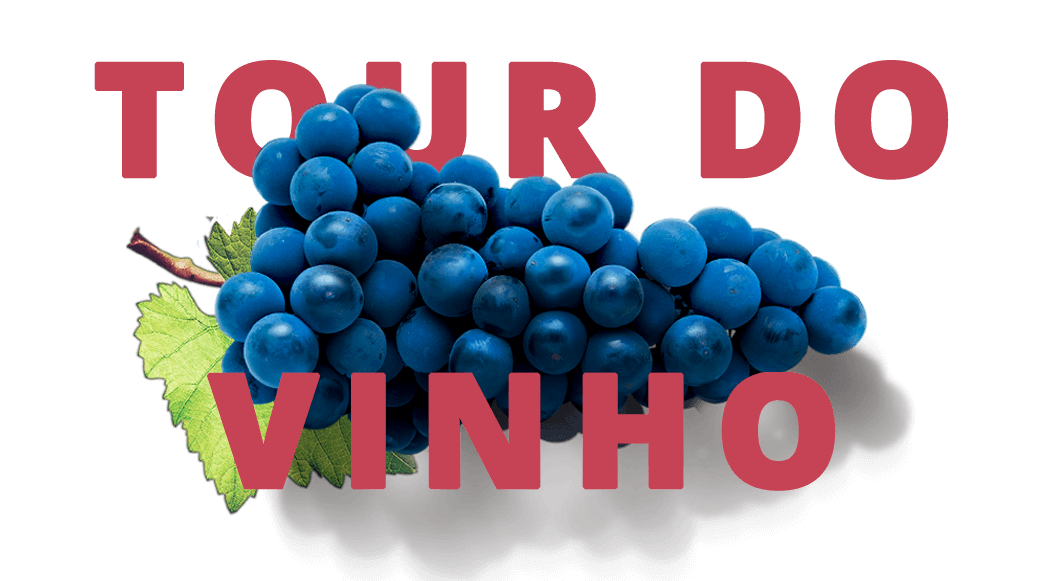 Tour do Vinho - Vinícola Castanho