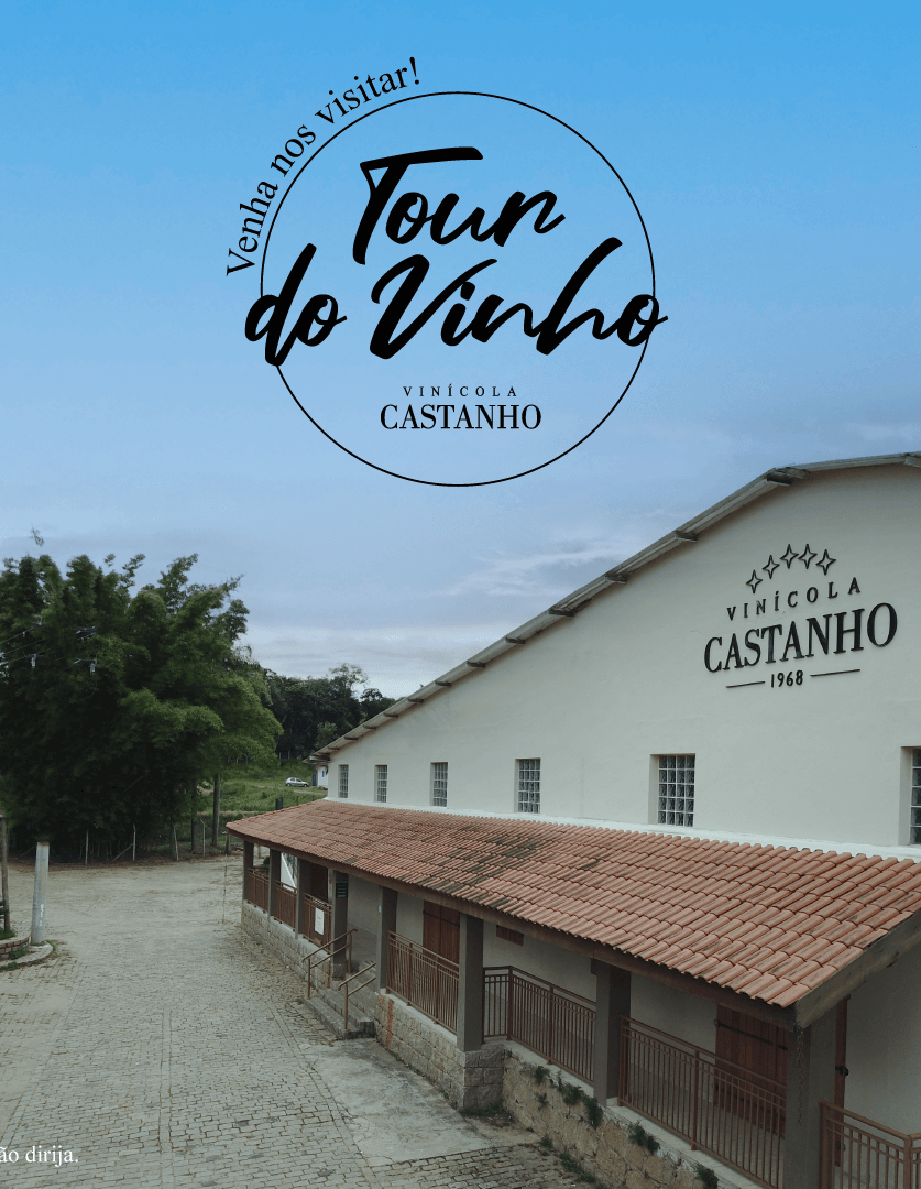 Tour do Vinho