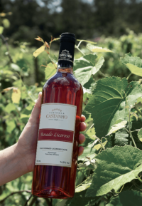 Vinho Rosado Licoroso Doce