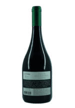 Vinho Cave Syrah Jequitibá