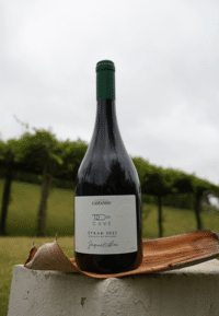 Vinho Cave Syrah Jequitibá