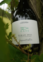Vinho Cave Syrah Jequitibá