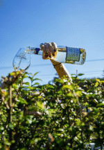 Serra dos Cristais Moscato ZERO ÁLCOOL