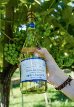 Serra dos Cristais Moscato ZERO ÁLCOOL