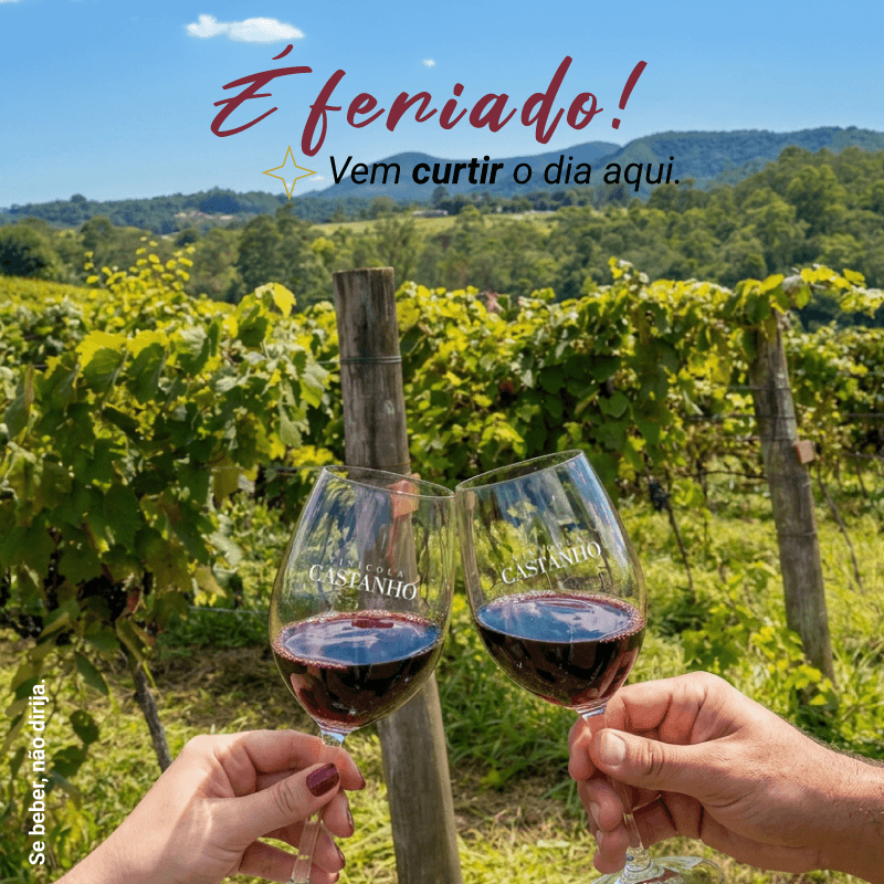 Vinícola Castanho - Dia Mundial do Trabalho - 2026 - Banners_Mobile