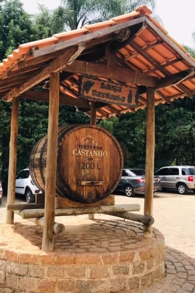 Tour do Vinho Harmonizado