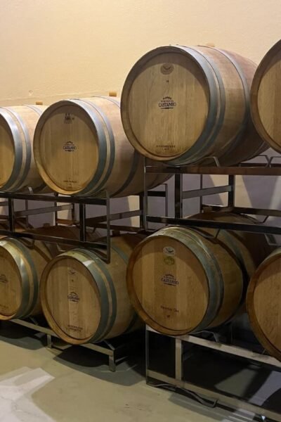Tour do Vinho Harmonizado