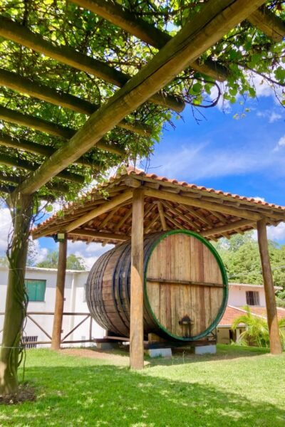 Tour do Vinho Harmonizado