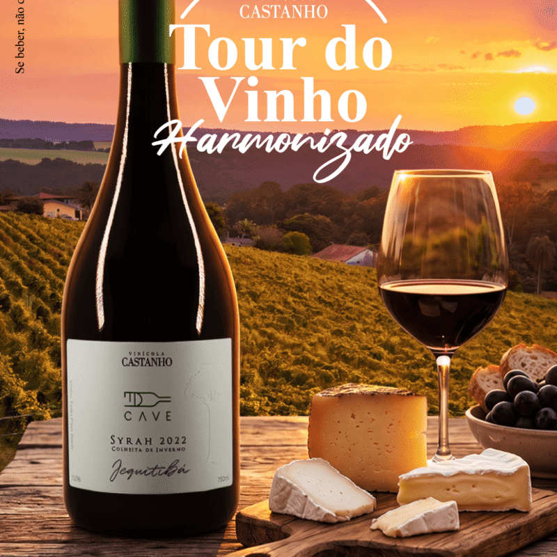 Vinícola Castanho - Tour do vinho - 2026 - Harmonizado - Logo - Banner