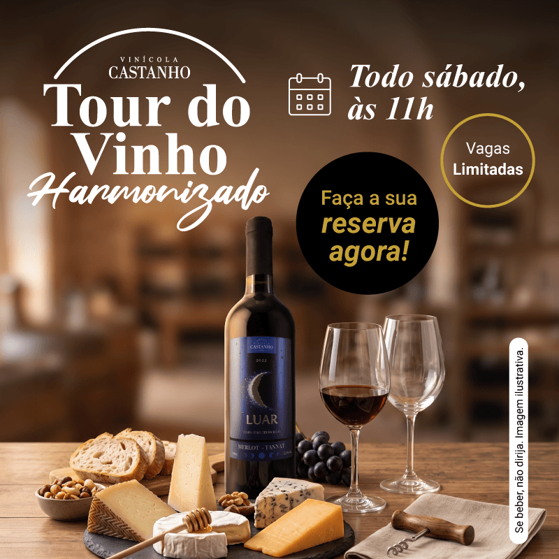 Vinícola Castanho - Tour do vinho - 2026 - Harmonizado - Banner site - Mobile